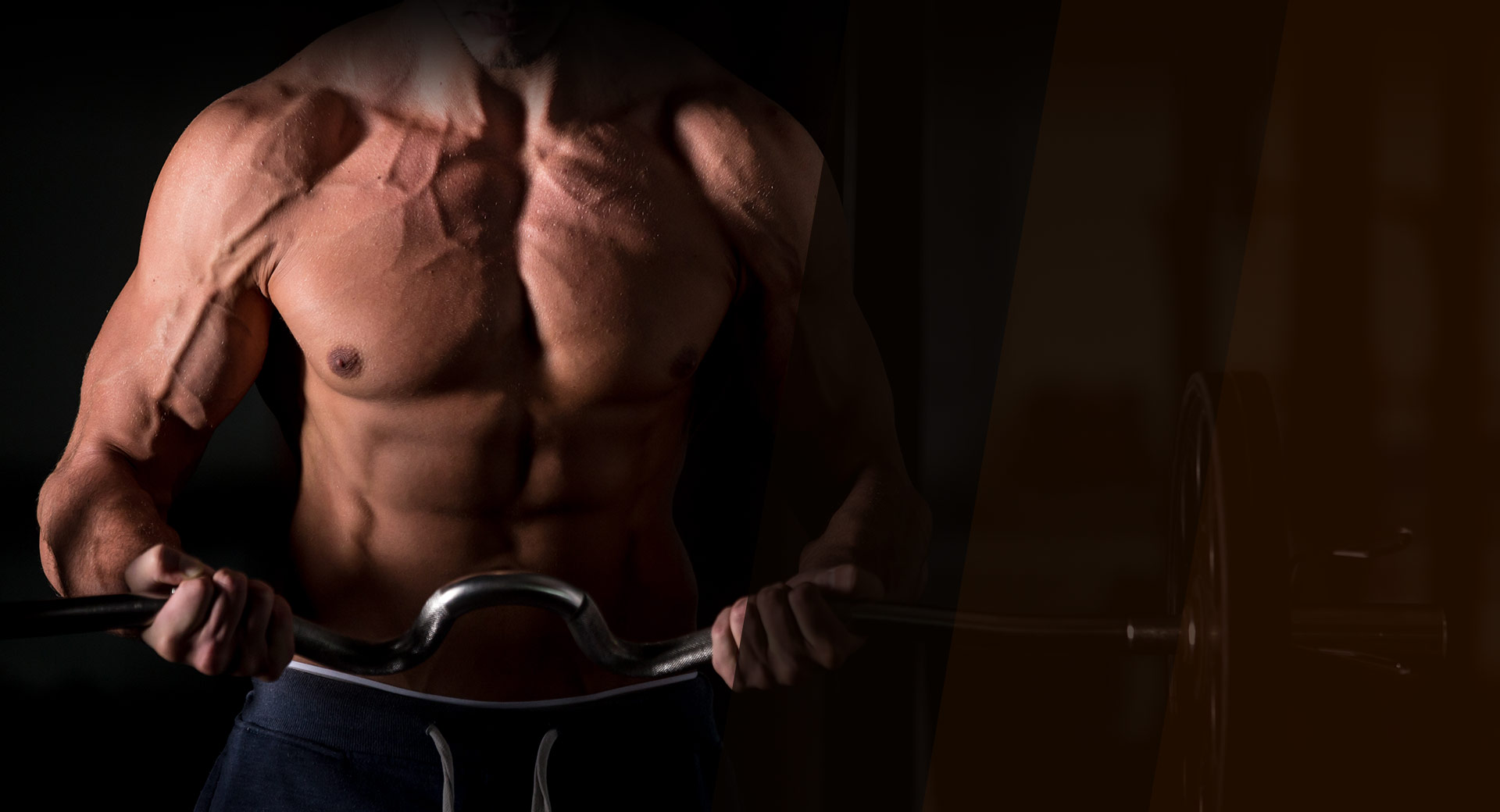 Gymlife website template preview
