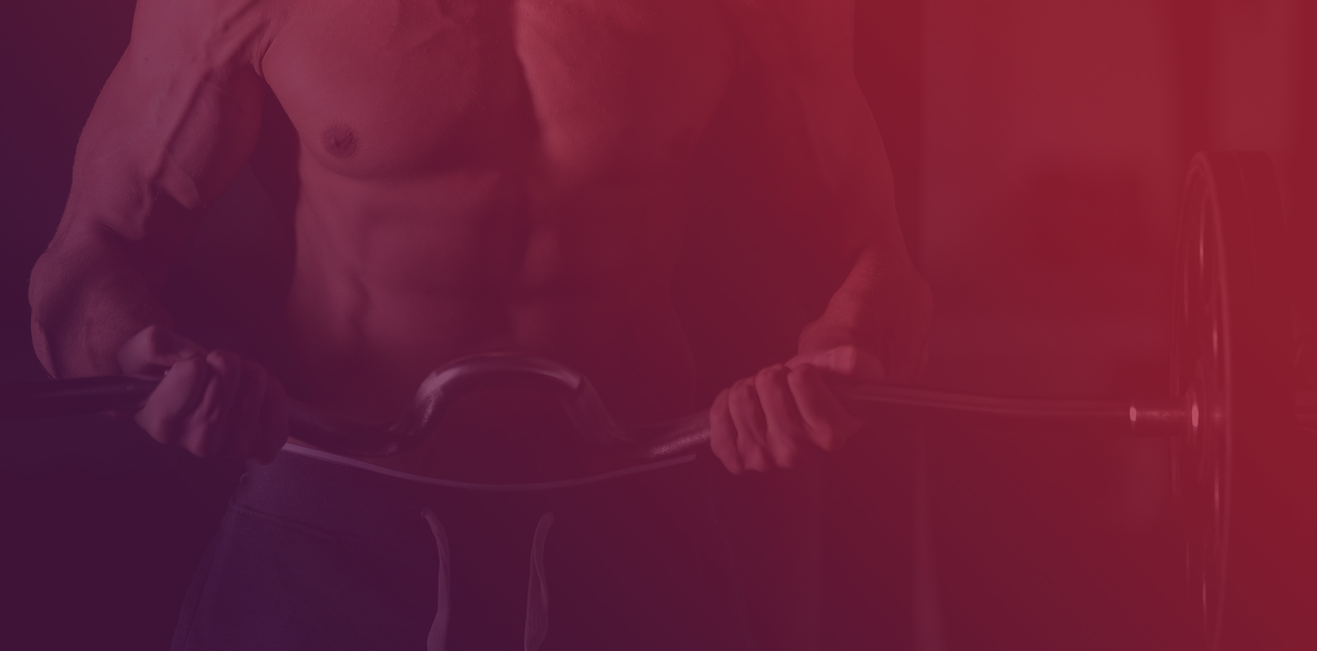 Ponigym website template preview